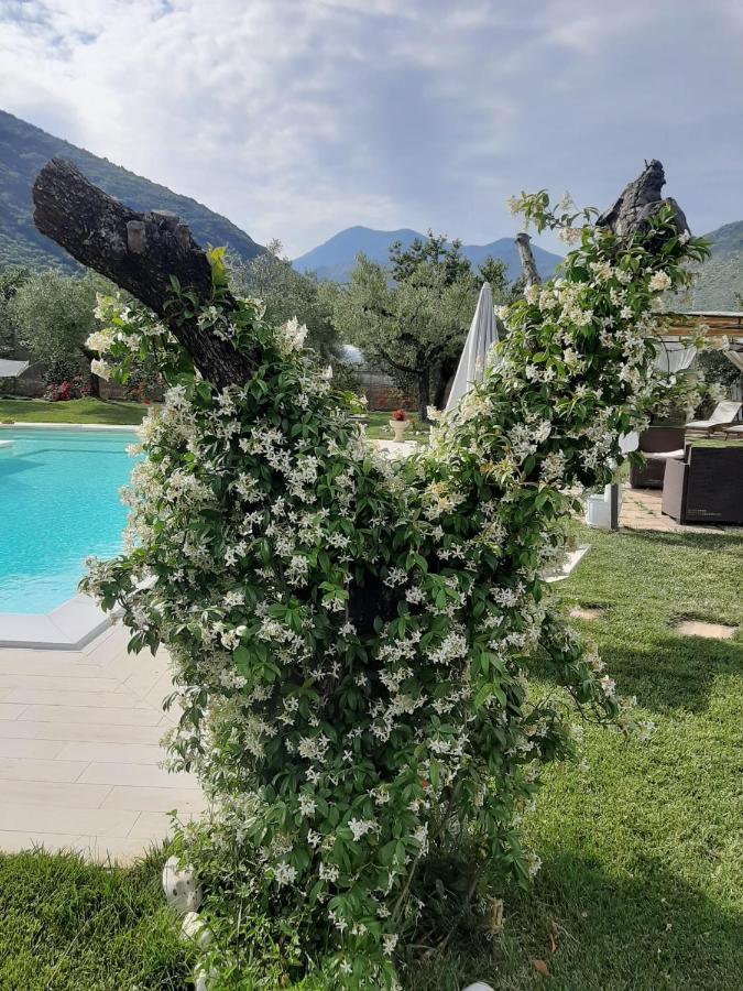 Alloggio Turistico L'Ulivo Monte San Biagio Kültér fotó