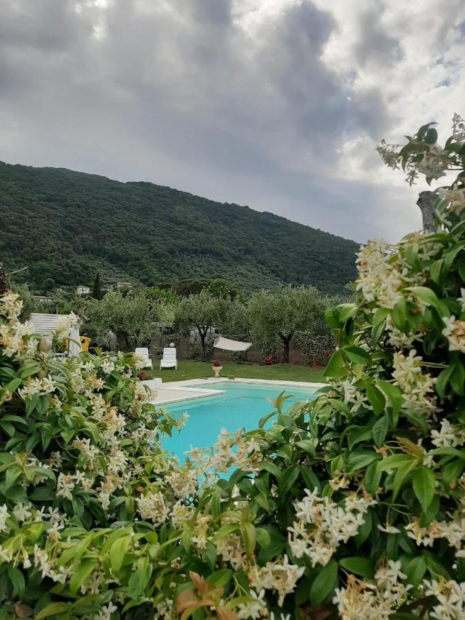 Alloggio Turistico L'Ulivo Monte San Biagio Kültér fotó