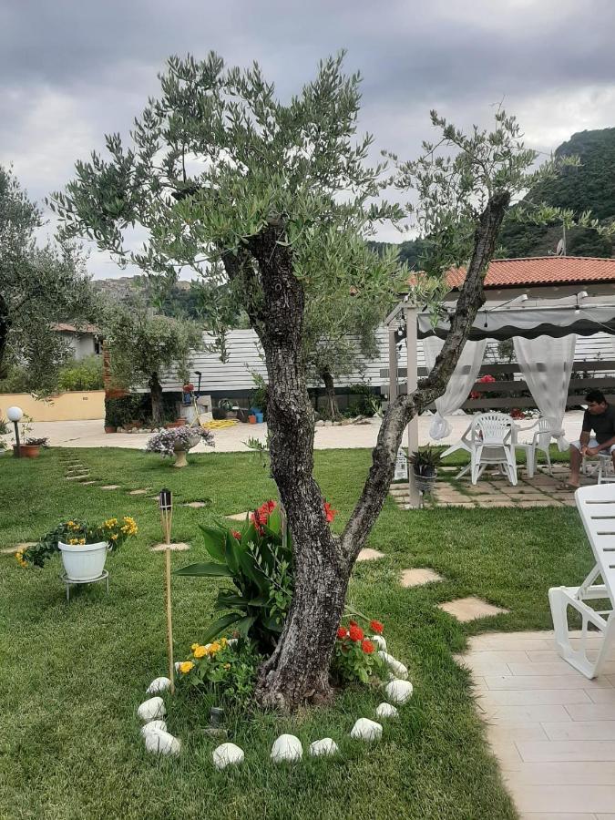 Alloggio Turistico L'Ulivo Monte San Biagio Kültér fotó